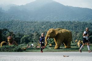 BIB: 
                            <button type="button" onclick="openModal(25892620)" class="btn btn-primary btn-sm float-right btn-popup" data-toggle="modal" data-target=".modal-high-quality">
                        <i class="fas fa-shopping-cart"></i> Add to Cart
                    </button>
                                            <button type="button" onclick="isThisMe(25892620, true)" class="btn btn-success btn-sm float-right btn-popup btn-isme hidden" data-toggle="tooltip" data-placement="bottom" title="นี่คือรูปของคุณใช่ไหม คลิกที่นี่เพื่อเอาเข้าอัลบั้ม">
                        <i class="fas fa-plus"></i> Add to album
                    </button>
                    <button type="button" onclick="isThisMe(25892620, false)" class="btn btn-warning btn-sm float-right btn-popup btn-isnotme hidden">
                        <i class="fas fa-ban"></i> Remove from album
                    </button>