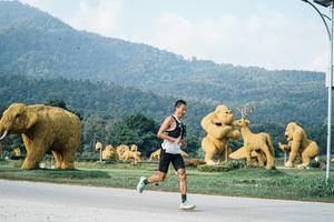 BIB: 
                            <button type="button" onclick="openModal(25869961)" class="btn btn-primary btn-sm float-right btn-popup" data-toggle="modal" data-target=".modal-high-quality">
                        <i class="fas fa-shopping-cart"></i> Add to Cart
                    </button>
                                            <button type="button" onclick="isThisMe(25869961, true)" class="btn btn-success btn-sm float-right btn-popup btn-isme hidden" data-toggle="tooltip" data-placement="bottom" title="นี่คือรูปของคุณใช่ไหม คลิกที่นี่เพื่อเอาเข้าอัลบั้ม">
                        <i class="fas fa-plus"></i> Add to album
                    </button>
                    <button type="button" onclick="isThisMe(25869961, false)" class="btn btn-warning btn-sm float-right btn-popup btn-isnotme hidden">
                        <i class="fas fa-ban"></i> Remove from album
                    </button>