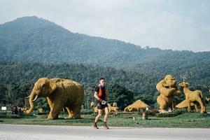 BIB: 
                            <button type="button" onclick="openModal(25871541)" class="btn btn-primary btn-sm float-right btn-popup" data-toggle="modal" data-target=".modal-high-quality">
                        <i class="fas fa-shopping-cart"></i> Add to Cart
                    </button>
                                            <button type="button" onclick="isThisMe(25871541, true)" class="btn btn-success btn-sm float-right btn-popup btn-isme hidden" data-toggle="tooltip" data-placement="bottom" title="นี่คือรูปของคุณใช่ไหม คลิกที่นี่เพื่อเอาเข้าอัลบั้ม">
                        <i class="fas fa-plus"></i> Add to album
                    </button>
                    <button type="button" onclick="isThisMe(25871541, false)" class="btn btn-warning btn-sm float-right btn-popup btn-isnotme hidden">
                        <i class="fas fa-ban"></i> Remove from album
                    </button>