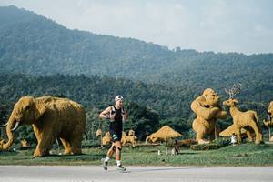 BIB: 
                            <button type="button" onclick="openModal(25871321)" class="btn btn-primary btn-sm float-right btn-popup" data-toggle="modal" data-target=".modal-high-quality">
                        <i class="fas fa-shopping-cart"></i> Add to Cart
                    </button>
                                            <button type="button" onclick="isThisMe(25871321, true)" class="btn btn-success btn-sm float-right btn-popup btn-isme hidden" data-toggle="tooltip" data-placement="bottom" title="นี่คือรูปของคุณใช่ไหม คลิกที่นี่เพื่อเอาเข้าอัลบั้ม">
                        <i class="fas fa-plus"></i> Add to album
                    </button>
                    <button type="button" onclick="isThisMe(25871321, false)" class="btn btn-warning btn-sm float-right btn-popup btn-isnotme hidden">
                        <i class="fas fa-ban"></i> Remove from album
                    </button>