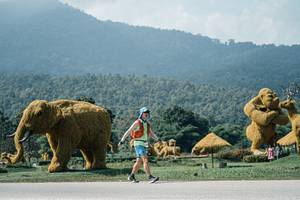 BIB: 
                            <button type="button" onclick="openModal(25956052)" class="btn btn-primary btn-sm float-right btn-popup" data-toggle="modal" data-target=".modal-high-quality">
                        <i class="fas fa-shopping-cart"></i> Add to Cart
                    </button>
                                            <button type="button" onclick="isThisMe(25956052, true)" class="btn btn-success btn-sm float-right btn-popup btn-isme hidden" data-toggle="tooltip" data-placement="bottom" title="นี่คือรูปของคุณใช่ไหม คลิกที่นี่เพื่อเอาเข้าอัลบั้ม">
                        <i class="fas fa-plus"></i> Add to album
                    </button>
                    <button type="button" onclick="isThisMe(25956052, false)" class="btn btn-warning btn-sm float-right btn-popup btn-isnotme hidden">
                        <i class="fas fa-ban"></i> Remove from album
                    </button>