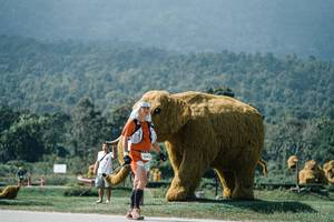 BIB: 
                            <button type="button" onclick="openModal(25956953)" class="btn btn-primary btn-sm float-right btn-popup" data-toggle="modal" data-target=".modal-high-quality">
                        <i class="fas fa-shopping-cart"></i> Add to Cart
                    </button>
                                            <button type="button" onclick="isThisMe(25956953, true)" class="btn btn-success btn-sm float-right btn-popup btn-isme hidden" data-toggle="tooltip" data-placement="bottom" title="นี่คือรูปของคุณใช่ไหม คลิกที่นี่เพื่อเอาเข้าอัลบั้ม">
                        <i class="fas fa-plus"></i> Add to album
                    </button>
                    <button type="button" onclick="isThisMe(25956953, false)" class="btn btn-warning btn-sm float-right btn-popup btn-isnotme hidden">
                        <i class="fas fa-ban"></i> Remove from album
                    </button>