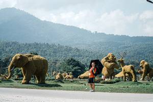 BIB: 
                            <button type="button" onclick="openModal(25980725)" class="btn btn-primary btn-sm float-right btn-popup" data-toggle="modal" data-target=".modal-high-quality">
                        <i class="fas fa-shopping-cart"></i> Add to Cart
                    </button>
                                            <button type="button" onclick="isThisMe(25980725, true)" class="btn btn-success btn-sm float-right btn-popup btn-isme hidden" data-toggle="tooltip" data-placement="bottom" title="นี่คือรูปของคุณใช่ไหม คลิกที่นี่เพื่อเอาเข้าอัลบั้ม">
                        <i class="fas fa-plus"></i> Add to album
                    </button>
                    <button type="button" onclick="isThisMe(25980725, false)" class="btn btn-warning btn-sm float-right btn-popup btn-isnotme hidden">
                        <i class="fas fa-ban"></i> Remove from album
                    </button>