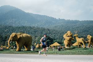 BIB: 
                            <button type="button" onclick="openModal(25878420)" class="btn btn-primary btn-sm float-right btn-popup" data-toggle="modal" data-target=".modal-high-quality">
                        <i class="fas fa-shopping-cart"></i> Add to Cart
                    </button>
                                            <button type="button" onclick="isThisMe(25878420, true)" class="btn btn-success btn-sm float-right btn-popup btn-isme hidden" data-toggle="tooltip" data-placement="bottom" title="นี่คือรูปของคุณใช่ไหม คลิกที่นี่เพื่อเอาเข้าอัลบั้ม">
                        <i class="fas fa-plus"></i> Add to album
                    </button>
                    <button type="button" onclick="isThisMe(25878420, false)" class="btn btn-warning btn-sm float-right btn-popup btn-isnotme hidden">
                        <i class="fas fa-ban"></i> Remove from album
                    </button>