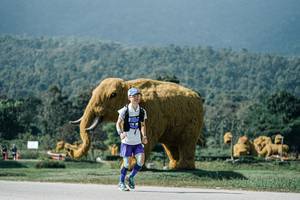 BIB: 
                            <button type="button" onclick="openModal(25920647)" class="btn btn-primary btn-sm float-right btn-popup" data-toggle="modal" data-target=".modal-high-quality">
                        <i class="fas fa-shopping-cart"></i> Add to Cart
                    </button>
                                            <button type="button" onclick="isThisMe(25920647, true)" class="btn btn-success btn-sm float-right btn-popup btn-isme hidden" data-toggle="tooltip" data-placement="bottom" title="นี่คือรูปของคุณใช่ไหม คลิกที่นี่เพื่อเอาเข้าอัลบั้ม">
                        <i class="fas fa-plus"></i> Add to album
                    </button>
                    <button type="button" onclick="isThisMe(25920647, false)" class="btn btn-warning btn-sm float-right btn-popup btn-isnotme hidden">
                        <i class="fas fa-ban"></i> Remove from album
                    </button>