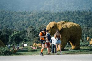 BIB: 
                            <button type="button" onclick="openModal(25884107)" class="btn btn-primary btn-sm float-right btn-popup" data-toggle="modal" data-target=".modal-high-quality">
                        <i class="fas fa-shopping-cart"></i> Add to Cart
                    </button>
                                            <button type="button" onclick="isThisMe(25884107, true)" class="btn btn-success btn-sm float-right btn-popup btn-isme hidden" data-toggle="tooltip" data-placement="bottom" title="นี่คือรูปของคุณใช่ไหม คลิกที่นี่เพื่อเอาเข้าอัลบั้ม">
                        <i class="fas fa-plus"></i> Add to album
                    </button>
                    <button type="button" onclick="isThisMe(25884107, false)" class="btn btn-warning btn-sm float-right btn-popup btn-isnotme hidden">
                        <i class="fas fa-ban"></i> Remove from album
                    </button>