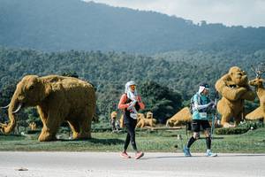 BIB: 
                            <button type="button" onclick="openModal(25920057)" class="btn btn-primary btn-sm float-right btn-popup" data-toggle="modal" data-target=".modal-high-quality">
                        <i class="fas fa-shopping-cart"></i> Add to Cart
                    </button>
                                            <button type="button" onclick="isThisMe(25920057, true)" class="btn btn-success btn-sm float-right btn-popup btn-isme hidden" data-toggle="tooltip" data-placement="bottom" title="นี่คือรูปของคุณใช่ไหม คลิกที่นี่เพื่อเอาเข้าอัลบั้ม">
                        <i class="fas fa-plus"></i> Add to album
                    </button>
                    <button type="button" onclick="isThisMe(25920057, false)" class="btn btn-warning btn-sm float-right btn-popup btn-isnotme hidden">
                        <i class="fas fa-ban"></i> Remove from album
                    </button>