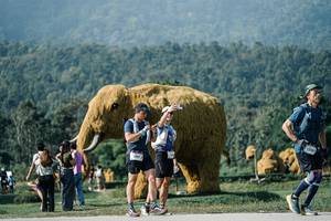 BIB: 
                            <button type="button" onclick="openModal(25881980)" class="btn btn-primary btn-sm float-right btn-popup" data-toggle="modal" data-target=".modal-high-quality">
                        <i class="fas fa-shopping-cart"></i> Add to Cart
                    </button>
                                            <button type="button" onclick="isThisMe(25881980, true)" class="btn btn-success btn-sm float-right btn-popup btn-isme hidden" data-toggle="tooltip" data-placement="bottom" title="นี่คือรูปของคุณใช่ไหม คลิกที่นี่เพื่อเอาเข้าอัลบั้ม">
                        <i class="fas fa-plus"></i> Add to album
                    </button>
                    <button type="button" onclick="isThisMe(25881980, false)" class="btn btn-warning btn-sm float-right btn-popup btn-isnotme hidden">
                        <i class="fas fa-ban"></i> Remove from album
                    </button>