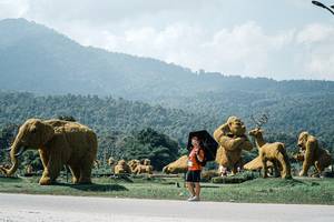 BIB: 
                            <button type="button" onclick="openModal(25980967)" class="btn btn-primary btn-sm float-right btn-popup" data-toggle="modal" data-target=".modal-high-quality">
                        <i class="fas fa-shopping-cart"></i> Add to Cart
                    </button>
                                            <button type="button" onclick="isThisMe(25980967, true)" class="btn btn-success btn-sm float-right btn-popup btn-isme hidden" data-toggle="tooltip" data-placement="bottom" title="นี่คือรูปของคุณใช่ไหม คลิกที่นี่เพื่อเอาเข้าอัลบั้ม">
                        <i class="fas fa-plus"></i> Add to album
                    </button>
                    <button type="button" onclick="isThisMe(25980967, false)" class="btn btn-warning btn-sm float-right btn-popup btn-isnotme hidden">
                        <i class="fas fa-ban"></i> Remove from album
                    </button>