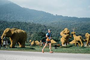 BIB: 
                            <button type="button" onclick="openModal(25876366)" class="btn btn-primary btn-sm float-right btn-popup" data-toggle="modal" data-target=".modal-high-quality">
                        <i class="fas fa-shopping-cart"></i> Add to Cart
                    </button>
                                            <button type="button" onclick="isThisMe(25876366, true)" class="btn btn-success btn-sm float-right btn-popup btn-isme hidden" data-toggle="tooltip" data-placement="bottom" title="นี่คือรูปของคุณใช่ไหม คลิกที่นี่เพื่อเอาเข้าอัลบั้ม">
                        <i class="fas fa-plus"></i> Add to album
                    </button>
                    <button type="button" onclick="isThisMe(25876366, false)" class="btn btn-warning btn-sm float-right btn-popup btn-isnotme hidden">
                        <i class="fas fa-ban"></i> Remove from album
                    </button>