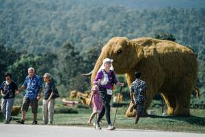 BIB: 
                            <button type="button" onclick="openModal(25943813)" class="btn btn-primary btn-sm float-right btn-popup" data-toggle="modal" data-target=".modal-high-quality">
                        <i class="fas fa-shopping-cart"></i> Add to Cart
                    </button>
                                            <button type="button" onclick="isThisMe(25943813, true)" class="btn btn-success btn-sm float-right btn-popup btn-isme hidden" data-toggle="tooltip" data-placement="bottom" title="นี่คือรูปของคุณใช่ไหม คลิกที่นี่เพื่อเอาเข้าอัลบั้ม">
                        <i class="fas fa-plus"></i> Add to album
                    </button>
                    <button type="button" onclick="isThisMe(25943813, false)" class="btn btn-warning btn-sm float-right btn-popup btn-isnotme hidden">
                        <i class="fas fa-ban"></i> Remove from album
                    </button>