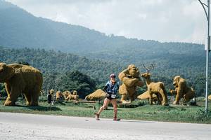 BIB: 
                            <button type="button" onclick="openModal(25969633)" class="btn btn-primary btn-sm float-right btn-popup" data-toggle="modal" data-target=".modal-high-quality">
                        <i class="fas fa-shopping-cart"></i> Add to Cart
                    </button>
                                            <button type="button" onclick="isThisMe(25969633, true)" class="btn btn-success btn-sm float-right btn-popup btn-isme hidden" data-toggle="tooltip" data-placement="bottom" title="นี่คือรูปของคุณใช่ไหม คลิกที่นี่เพื่อเอาเข้าอัลบั้ม">
                        <i class="fas fa-plus"></i> Add to album
                    </button>
                    <button type="button" onclick="isThisMe(25969633, false)" class="btn btn-warning btn-sm float-right btn-popup btn-isnotme hidden">
                        <i class="fas fa-ban"></i> Remove from album
                    </button>