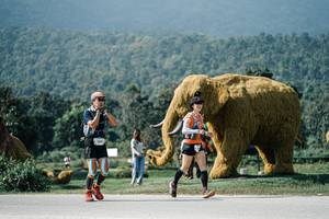 BIB: 
                            <button type="button" onclick="openModal(25914398)" class="btn btn-primary btn-sm float-right btn-popup" data-toggle="modal" data-target=".modal-high-quality">
                        <i class="fas fa-shopping-cart"></i> Add to Cart
                    </button>
                                            <button type="button" onclick="isThisMe(25914398, true)" class="btn btn-success btn-sm float-right btn-popup btn-isme hidden" data-toggle="tooltip" data-placement="bottom" title="นี่คือรูปของคุณใช่ไหม คลิกที่นี่เพื่อเอาเข้าอัลบั้ม">
                        <i class="fas fa-plus"></i> Add to album
                    </button>
                    <button type="button" onclick="isThisMe(25914398, false)" class="btn btn-warning btn-sm float-right btn-popup btn-isnotme hidden">
                        <i class="fas fa-ban"></i> Remove from album
                    </button>