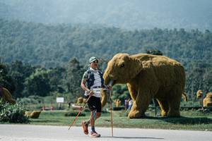 BIB: 
                            <button type="button" onclick="openModal(25971545)" class="btn btn-primary btn-sm float-right btn-popup" data-toggle="modal" data-target=".modal-high-quality">
                        <i class="fas fa-shopping-cart"></i> Add to Cart
                    </button>
                                            <button type="button" onclick="isThisMe(25971545, true)" class="btn btn-success btn-sm float-right btn-popup btn-isme hidden" data-toggle="tooltip" data-placement="bottom" title="นี่คือรูปของคุณใช่ไหม คลิกที่นี่เพื่อเอาเข้าอัลบั้ม">
                        <i class="fas fa-plus"></i> Add to album
                    </button>
                    <button type="button" onclick="isThisMe(25971545, false)" class="btn btn-warning btn-sm float-right btn-popup btn-isnotme hidden">
                        <i class="fas fa-ban"></i> Remove from album
                    </button>