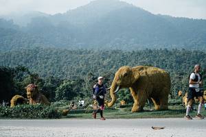 BIB: 
                            <button type="button" onclick="openModal(25892512)" class="btn btn-primary btn-sm float-right btn-popup" data-toggle="modal" data-target=".modal-high-quality">
                        <i class="fas fa-shopping-cart"></i> Add to Cart
                    </button>
                                            <button type="button" onclick="isThisMe(25892512, true)" class="btn btn-success btn-sm float-right btn-popup btn-isme hidden" data-toggle="tooltip" data-placement="bottom" title="นี่คือรูปของคุณใช่ไหม คลิกที่นี่เพื่อเอาเข้าอัลบั้ม">
                        <i class="fas fa-plus"></i> Add to album
                    </button>
                    <button type="button" onclick="isThisMe(25892512, false)" class="btn btn-warning btn-sm float-right btn-popup btn-isnotme hidden">
                        <i class="fas fa-ban"></i> Remove from album
                    </button>