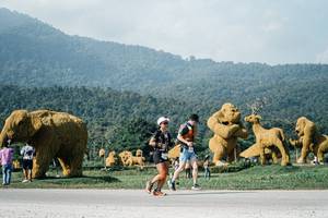 BIB: 
                            <button type="button" onclick="openModal(25880178)" class="btn btn-primary btn-sm float-right btn-popup" data-toggle="modal" data-target=".modal-high-quality">
                        <i class="fas fa-shopping-cart"></i> Add to Cart
                    </button>
                                            <button type="button" onclick="isThisMe(25880178, true)" class="btn btn-success btn-sm float-right btn-popup btn-isme hidden" data-toggle="tooltip" data-placement="bottom" title="นี่คือรูปของคุณใช่ไหม คลิกที่นี่เพื่อเอาเข้าอัลบั้ม">
                        <i class="fas fa-plus"></i> Add to album
                    </button>
                    <button type="button" onclick="isThisMe(25880178, false)" class="btn btn-warning btn-sm float-right btn-popup btn-isnotme hidden">
                        <i class="fas fa-ban"></i> Remove from album
                    </button>