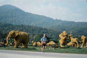 BIB: 
                            <button type="button" onclick="openModal(25871346)" class="btn btn-primary btn-sm float-right btn-popup" data-toggle="modal" data-target=".modal-high-quality">
                        <i class="fas fa-shopping-cart"></i> Add to Cart
                    </button>
                                            <button type="button" onclick="isThisMe(25871346, true)" class="btn btn-success btn-sm float-right btn-popup btn-isme hidden" data-toggle="tooltip" data-placement="bottom" title="นี่คือรูปของคุณใช่ไหม คลิกที่นี่เพื่อเอาเข้าอัลบั้ม">
                        <i class="fas fa-plus"></i> Add to album
                    </button>
                    <button type="button" onclick="isThisMe(25871346, false)" class="btn btn-warning btn-sm float-right btn-popup btn-isnotme hidden">
                        <i class="fas fa-ban"></i> Remove from album
                    </button>