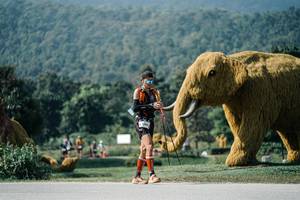 BIB: 
                            <button type="button" onclick="openModal(25906301)" class="btn btn-primary btn-sm float-right btn-popup" data-toggle="modal" data-target=".modal-high-quality">
                        <i class="fas fa-shopping-cart"></i> Add to Cart
                    </button>
                                            <button type="button" onclick="isThisMe(25906301, true)" class="btn btn-success btn-sm float-right btn-popup btn-isme hidden" data-toggle="tooltip" data-placement="bottom" title="นี่คือรูปของคุณใช่ไหม คลิกที่นี่เพื่อเอาเข้าอัลบั้ม">
                        <i class="fas fa-plus"></i> Add to album
                    </button>
                    <button type="button" onclick="isThisMe(25906301, false)" class="btn btn-warning btn-sm float-right btn-popup btn-isnotme hidden">
                        <i class="fas fa-ban"></i> Remove from album
                    </button>