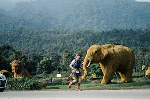 BIB: 
                            <button type="button" onclick="openModal(25871229)" class="btn btn-primary btn-sm float-right btn-popup" data-toggle="modal" data-target=".modal-high-quality">
                        <i class="fas fa-shopping-cart"></i> Add to Cart
                    </button>
                                            <button type="button" onclick="isThisMe(25871229, true)" class="btn btn-success btn-sm float-right btn-popup btn-isme hidden" data-toggle="tooltip" data-placement="bottom" title="นี่คือรูปของคุณใช่ไหม คลิกที่นี่เพื่อเอาเข้าอัลบั้ม">
                        <i class="fas fa-plus"></i> Add to album
                    </button>
                    <button type="button" onclick="isThisMe(25871229, false)" class="btn btn-warning btn-sm float-right btn-popup btn-isnotme hidden">
                        <i class="fas fa-ban"></i> Remove from album
                    </button>