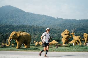 BIB: 
                            <button type="button" onclick="openModal(25871269)" class="btn btn-primary btn-sm float-right btn-popup" data-toggle="modal" data-target=".modal-high-quality">
                        <i class="fas fa-shopping-cart"></i> Add to Cart
                    </button>
                                            <button type="button" onclick="isThisMe(25871269, true)" class="btn btn-success btn-sm float-right btn-popup btn-isme hidden" data-toggle="tooltip" data-placement="bottom" title="นี่คือรูปของคุณใช่ไหม คลิกที่นี่เพื่อเอาเข้าอัลบั้ม">
                        <i class="fas fa-plus"></i> Add to album
                    </button>
                    <button type="button" onclick="isThisMe(25871269, false)" class="btn btn-warning btn-sm float-right btn-popup btn-isnotme hidden">
                        <i class="fas fa-ban"></i> Remove from album
                    </button>