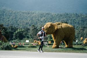 BIB: 
                            <button type="button" onclick="openModal(25920943)" class="btn btn-primary btn-sm float-right btn-popup" data-toggle="modal" data-target=".modal-high-quality">
                        <i class="fas fa-shopping-cart"></i> Add to Cart
                    </button>
                                            <button type="button" onclick="isThisMe(25920943, true)" class="btn btn-success btn-sm float-right btn-popup btn-isme hidden" data-toggle="tooltip" data-placement="bottom" title="นี่คือรูปของคุณใช่ไหม คลิกที่นี่เพื่อเอาเข้าอัลบั้ม">
                        <i class="fas fa-plus"></i> Add to album
                    </button>
                    <button type="button" onclick="isThisMe(25920943, false)" class="btn btn-warning btn-sm float-right btn-popup btn-isnotme hidden">
                        <i class="fas fa-ban"></i> Remove from album
                    </button>