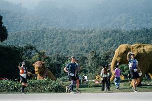 BIB: 
                            <button type="button" onclick="openModal(25881756)" class="btn btn-primary btn-sm float-right btn-popup" data-toggle="modal" data-target=".modal-high-quality">
                        <i class="fas fa-shopping-cart"></i> Add to Cart
                    </button>
                                            <button type="button" onclick="isThisMe(25881756, true)" class="btn btn-success btn-sm float-right btn-popup btn-isme hidden" data-toggle="tooltip" data-placement="bottom" title="นี่คือรูปของคุณใช่ไหม คลิกที่นี่เพื่อเอาเข้าอัลบั้ม">
                        <i class="fas fa-plus"></i> Add to album
                    </button>
                    <button type="button" onclick="isThisMe(25881756, false)" class="btn btn-warning btn-sm float-right btn-popup btn-isnotme hidden">
                        <i class="fas fa-ban"></i> Remove from album
                    </button>