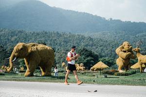 BIB: 
                            <button type="button" onclick="openModal(25914781)" class="btn btn-primary btn-sm float-right btn-popup" data-toggle="modal" data-target=".modal-high-quality">
                        <i class="fas fa-shopping-cart"></i> Add to Cart
                    </button>
                                            <button type="button" onclick="isThisMe(25914781, true)" class="btn btn-success btn-sm float-right btn-popup btn-isme hidden" data-toggle="tooltip" data-placement="bottom" title="นี่คือรูปของคุณใช่ไหม คลิกที่นี่เพื่อเอาเข้าอัลบั้ม">
                        <i class="fas fa-plus"></i> Add to album
                    </button>
                    <button type="button" onclick="isThisMe(25914781, false)" class="btn btn-warning btn-sm float-right btn-popup btn-isnotme hidden">
                        <i class="fas fa-ban"></i> Remove from album
                    </button>