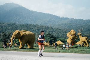 BIB: 
                            <button type="button" onclick="openModal(25884593)" class="btn btn-primary btn-sm float-right btn-popup" data-toggle="modal" data-target=".modal-high-quality">
                        <i class="fas fa-shopping-cart"></i> Add to Cart
                    </button>
                                            <button type="button" onclick="isThisMe(25884593, true)" class="btn btn-success btn-sm float-right btn-popup btn-isme hidden" data-toggle="tooltip" data-placement="bottom" title="นี่คือรูปของคุณใช่ไหม คลิกที่นี่เพื่อเอาเข้าอัลบั้ม">
                        <i class="fas fa-plus"></i> Add to album
                    </button>
                    <button type="button" onclick="isThisMe(25884593, false)" class="btn btn-warning btn-sm float-right btn-popup btn-isnotme hidden">
                        <i class="fas fa-ban"></i> Remove from album
                    </button>