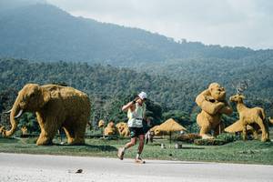 BIB: 
                            <button type="button" onclick="openModal(25899147)" class="btn btn-primary btn-sm float-right btn-popup" data-toggle="modal" data-target=".modal-high-quality">
                        <i class="fas fa-shopping-cart"></i> Add to Cart
                    </button>
                                            <button type="button" onclick="isThisMe(25899147, true)" class="btn btn-success btn-sm float-right btn-popup btn-isme hidden" data-toggle="tooltip" data-placement="bottom" title="นี่คือรูปของคุณใช่ไหม คลิกที่นี่เพื่อเอาเข้าอัลบั้ม">
                        <i class="fas fa-plus"></i> Add to album
                    </button>
                    <button type="button" onclick="isThisMe(25899147, false)" class="btn btn-warning btn-sm float-right btn-popup btn-isnotme hidden">
                        <i class="fas fa-ban"></i> Remove from album
                    </button>