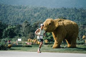 BIB: 
                            <button type="button" onclick="openModal(25898975)" class="btn btn-primary btn-sm float-right btn-popup" data-toggle="modal" data-target=".modal-high-quality">
                        <i class="fas fa-shopping-cart"></i> Add to Cart
                    </button>
                                            <button type="button" onclick="isThisMe(25898975, true)" class="btn btn-success btn-sm float-right btn-popup btn-isme hidden" data-toggle="tooltip" data-placement="bottom" title="นี่คือรูปของคุณใช่ไหม คลิกที่นี่เพื่อเอาเข้าอัลบั้ม">
                        <i class="fas fa-plus"></i> Add to album
                    </button>
                    <button type="button" onclick="isThisMe(25898975, false)" class="btn btn-warning btn-sm float-right btn-popup btn-isnotme hidden">
                        <i class="fas fa-ban"></i> Remove from album
                    </button>