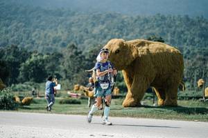 BIB: 
                            <button type="button" onclick="openModal(25937766)" class="btn btn-primary btn-sm float-right btn-popup" data-toggle="modal" data-target=".modal-high-quality">
                        <i class="fas fa-shopping-cart"></i> Add to Cart
                    </button>
                                            <button type="button" onclick="isThisMe(25937766, true)" class="btn btn-success btn-sm float-right btn-popup btn-isme hidden" data-toggle="tooltip" data-placement="bottom" title="นี่คือรูปของคุณใช่ไหม คลิกที่นี่เพื่อเอาเข้าอัลบั้ม">
                        <i class="fas fa-plus"></i> Add to album
                    </button>
                    <button type="button" onclick="isThisMe(25937766, false)" class="btn btn-warning btn-sm float-right btn-popup btn-isnotme hidden">
                        <i class="fas fa-ban"></i> Remove from album
                    </button>