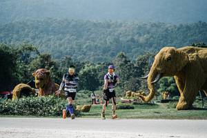 BIB: 
                            <button type="button" onclick="openModal(25965246)" class="btn btn-primary btn-sm float-right btn-popup" data-toggle="modal" data-target=".modal-high-quality">
                        <i class="fas fa-shopping-cart"></i> Add to Cart
                    </button>
                                            <button type="button" onclick="isThisMe(25965246, true)" class="btn btn-success btn-sm float-right btn-popup btn-isme hidden" data-toggle="tooltip" data-placement="bottom" title="นี่คือรูปของคุณใช่ไหม คลิกที่นี่เพื่อเอาเข้าอัลบั้ม">
                        <i class="fas fa-plus"></i> Add to album
                    </button>
                    <button type="button" onclick="isThisMe(25965246, false)" class="btn btn-warning btn-sm float-right btn-popup btn-isnotme hidden">
                        <i class="fas fa-ban"></i> Remove from album
                    </button>