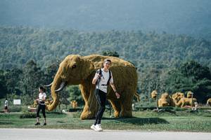 BIB: 
                            <button type="button" onclick="openModal(25959136)" class="btn btn-primary btn-sm float-right btn-popup" data-toggle="modal" data-target=".modal-high-quality">
                        <i class="fas fa-shopping-cart"></i> Add to Cart
                    </button>
                                            <button type="button" onclick="isThisMe(25959136, true)" class="btn btn-success btn-sm float-right btn-popup btn-isme hidden" data-toggle="tooltip" data-placement="bottom" title="นี่คือรูปของคุณใช่ไหม คลิกที่นี่เพื่อเอาเข้าอัลบั้ม">
                        <i class="fas fa-plus"></i> Add to album
                    </button>
                    <button type="button" onclick="isThisMe(25959136, false)" class="btn btn-warning btn-sm float-right btn-popup btn-isnotme hidden">
                        <i class="fas fa-ban"></i> Remove from album
                    </button>