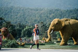 BIB: 
                            <button type="button" onclick="openModal(25904727)" class="btn btn-primary btn-sm float-right btn-popup" data-toggle="modal" data-target=".modal-high-quality">
                        <i class="fas fa-shopping-cart"></i> Add to Cart
                    </button>
                                            <button type="button" onclick="isThisMe(25904727, true)" class="btn btn-success btn-sm float-right btn-popup btn-isme hidden" data-toggle="tooltip" data-placement="bottom" title="นี่คือรูปของคุณใช่ไหม คลิกที่นี่เพื่อเอาเข้าอัลบั้ม">
                        <i class="fas fa-plus"></i> Add to album
                    </button>
                    <button type="button" onclick="isThisMe(25904727, false)" class="btn btn-warning btn-sm float-right btn-popup btn-isnotme hidden">
                        <i class="fas fa-ban"></i> Remove from album
                    </button>