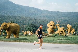 BIB: 
                            <button type="button" onclick="openModal(25870312)" class="btn btn-primary btn-sm float-right btn-popup" data-toggle="modal" data-target=".modal-high-quality">
                        <i class="fas fa-shopping-cart"></i> Add to Cart
                    </button>
                                            <button type="button" onclick="isThisMe(25870312, true)" class="btn btn-success btn-sm float-right btn-popup btn-isme hidden" data-toggle="tooltip" data-placement="bottom" title="นี่คือรูปของคุณใช่ไหม คลิกที่นี่เพื่อเอาเข้าอัลบั้ม">
                        <i class="fas fa-plus"></i> Add to album
                    </button>
                    <button type="button" onclick="isThisMe(25870312, false)" class="btn btn-warning btn-sm float-right btn-popup btn-isnotme hidden">
                        <i class="fas fa-ban"></i> Remove from album
                    </button>