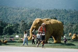 BIB: 
                            <button type="button" onclick="openModal(25914501)" class="btn btn-primary btn-sm float-right btn-popup" data-toggle="modal" data-target=".modal-high-quality">
                        <i class="fas fa-shopping-cart"></i> Add to Cart
                    </button>
                                            <button type="button" onclick="isThisMe(25914501, true)" class="btn btn-success btn-sm float-right btn-popup btn-isme hidden" data-toggle="tooltip" data-placement="bottom" title="นี่คือรูปของคุณใช่ไหม คลิกที่นี่เพื่อเอาเข้าอัลบั้ม">
                        <i class="fas fa-plus"></i> Add to album
                    </button>
                    <button type="button" onclick="isThisMe(25914501, false)" class="btn btn-warning btn-sm float-right btn-popup btn-isnotme hidden">
                        <i class="fas fa-ban"></i> Remove from album
                    </button>