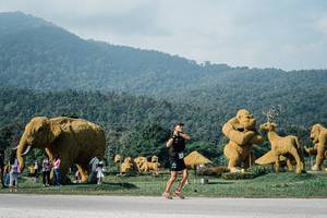 BIB: 
                            <button type="button" onclick="openModal(25874393)" class="btn btn-primary btn-sm float-right btn-popup" data-toggle="modal" data-target=".modal-high-quality">
                        <i class="fas fa-shopping-cart"></i> Add to Cart
                    </button>
                                            <button type="button" onclick="isThisMe(25874393, true)" class="btn btn-success btn-sm float-right btn-popup btn-isme hidden" data-toggle="tooltip" data-placement="bottom" title="นี่คือรูปของคุณใช่ไหม คลิกที่นี่เพื่อเอาเข้าอัลบั้ม">
                        <i class="fas fa-plus"></i> Add to album
                    </button>
                    <button type="button" onclick="isThisMe(25874393, false)" class="btn btn-warning btn-sm float-right btn-popup btn-isnotme hidden">
                        <i class="fas fa-ban"></i> Remove from album
                    </button>