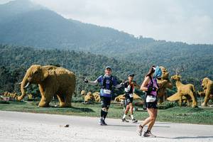 BIB: 
                            <button type="button" onclick="openModal(25897625)" class="btn btn-primary btn-sm float-right btn-popup" data-toggle="modal" data-target=".modal-high-quality">
                        <i class="fas fa-shopping-cart"></i> Add to Cart
                    </button>
                                            <button type="button" onclick="isThisMe(25897625, true)" class="btn btn-success btn-sm float-right btn-popup btn-isme hidden" data-toggle="tooltip" data-placement="bottom" title="นี่คือรูปของคุณใช่ไหม คลิกที่นี่เพื่อเอาเข้าอัลบั้ม">
                        <i class="fas fa-plus"></i> Add to album
                    </button>
                    <button type="button" onclick="isThisMe(25897625, false)" class="btn btn-warning btn-sm float-right btn-popup btn-isnotme hidden">
                        <i class="fas fa-ban"></i> Remove from album
                    </button>