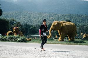 BIB: 
                            <button type="button" onclick="openModal(25953444)" class="btn btn-primary btn-sm float-right btn-popup" data-toggle="modal" data-target=".modal-high-quality">
                        <i class="fas fa-shopping-cart"></i> Add to Cart
                    </button>
                                            <button type="button" onclick="isThisMe(25953444, true)" class="btn btn-success btn-sm float-right btn-popup btn-isme hidden" data-toggle="tooltip" data-placement="bottom" title="นี่คือรูปของคุณใช่ไหม คลิกที่นี่เพื่อเอาเข้าอัลบั้ม">
                        <i class="fas fa-plus"></i> Add to album
                    </button>
                    <button type="button" onclick="isThisMe(25953444, false)" class="btn btn-warning btn-sm float-right btn-popup btn-isnotme hidden">
                        <i class="fas fa-ban"></i> Remove from album
                    </button>