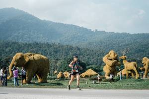 BIB: 
                            <button type="button" onclick="openModal(25880629)" class="btn btn-primary btn-sm float-right btn-popup" data-toggle="modal" data-target=".modal-high-quality">
                        <i class="fas fa-shopping-cart"></i> Add to Cart
                    </button>
                                            <button type="button" onclick="isThisMe(25880629, true)" class="btn btn-success btn-sm float-right btn-popup btn-isme hidden" data-toggle="tooltip" data-placement="bottom" title="นี่คือรูปของคุณใช่ไหม คลิกที่นี่เพื่อเอาเข้าอัลบั้ม">
                        <i class="fas fa-plus"></i> Add to album
                    </button>
                    <button type="button" onclick="isThisMe(25880629, false)" class="btn btn-warning btn-sm float-right btn-popup btn-isnotme hidden">
                        <i class="fas fa-ban"></i> Remove from album
                    </button>