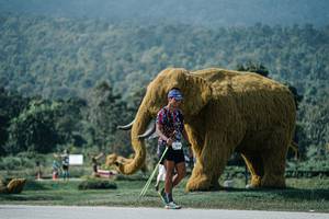 BIB: 
                            <button type="button" onclick="openModal(25930701)" class="btn btn-primary btn-sm float-right btn-popup" data-toggle="modal" data-target=".modal-high-quality">
                        <i class="fas fa-shopping-cart"></i> Add to Cart
                    </button>
                                            <button type="button" onclick="isThisMe(25930701, true)" class="btn btn-success btn-sm float-right btn-popup btn-isme hidden" data-toggle="tooltip" data-placement="bottom" title="นี่คือรูปของคุณใช่ไหม คลิกที่นี่เพื่อเอาเข้าอัลบั้ม">
                        <i class="fas fa-plus"></i> Add to album
                    </button>
                    <button type="button" onclick="isThisMe(25930701, false)" class="btn btn-warning btn-sm float-right btn-popup btn-isnotme hidden">
                        <i class="fas fa-ban"></i> Remove from album
                    </button>