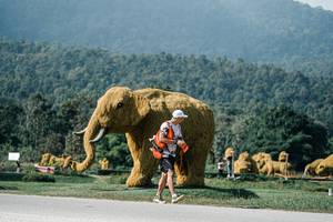 BIB: 
                            <button type="button" onclick="openModal(25887741)" class="btn btn-primary btn-sm float-right btn-popup" data-toggle="modal" data-target=".modal-high-quality">
                        <i class="fas fa-shopping-cart"></i> Add to Cart
                    </button>
                                            <button type="button" onclick="isThisMe(25887741, true)" class="btn btn-success btn-sm float-right btn-popup btn-isme hidden" data-toggle="tooltip" data-placement="bottom" title="นี่คือรูปของคุณใช่ไหม คลิกที่นี่เพื่อเอาเข้าอัลบั้ม">
                        <i class="fas fa-plus"></i> Add to album
                    </button>
                    <button type="button" onclick="isThisMe(25887741, false)" class="btn btn-warning btn-sm float-right btn-popup btn-isnotme hidden">
                        <i class="fas fa-ban"></i> Remove from album
                    </button>