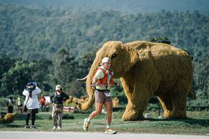 BIB: 
                            <button type="button" onclick="openModal(25918958)" class="btn btn-primary btn-sm float-right btn-popup" data-toggle="modal" data-target=".modal-high-quality">
                        <i class="fas fa-shopping-cart"></i> Add to Cart
                    </button>
                                            <button type="button" onclick="isThisMe(25918958, true)" class="btn btn-success btn-sm float-right btn-popup btn-isme hidden" data-toggle="tooltip" data-placement="bottom" title="นี่คือรูปของคุณใช่ไหม คลิกที่นี่เพื่อเอาเข้าอัลบั้ม">
                        <i class="fas fa-plus"></i> Add to album
                    </button>
                    <button type="button" onclick="isThisMe(25918958, false)" class="btn btn-warning btn-sm float-right btn-popup btn-isnotme hidden">
                        <i class="fas fa-ban"></i> Remove from album
                    </button>