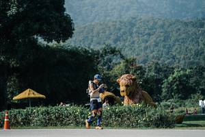 BIB: 
                            <button type="button" onclick="openModal(25874981)" class="btn btn-primary btn-sm float-right btn-popup" data-toggle="modal" data-target=".modal-high-quality">
                        <i class="fas fa-shopping-cart"></i> Add to Cart
                    </button>
                                            <button type="button" onclick="isThisMe(25874981, true)" class="btn btn-success btn-sm float-right btn-popup btn-isme hidden" data-toggle="tooltip" data-placement="bottom" title="นี่คือรูปของคุณใช่ไหม คลิกที่นี่เพื่อเอาเข้าอัลบั้ม">
                        <i class="fas fa-plus"></i> Add to album
                    </button>
                    <button type="button" onclick="isThisMe(25874981, false)" class="btn btn-warning btn-sm float-right btn-popup btn-isnotme hidden">
                        <i class="fas fa-ban"></i> Remove from album
                    </button>