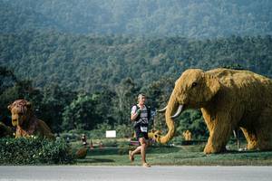 BIB: 
                            <button type="button" onclick="openModal(25871607)" class="btn btn-primary btn-sm float-right btn-popup" data-toggle="modal" data-target=".modal-high-quality">
                        <i class="fas fa-shopping-cart"></i> Add to Cart
                    </button>
                                            <button type="button" onclick="isThisMe(25871607, true)" class="btn btn-success btn-sm float-right btn-popup btn-isme hidden" data-toggle="tooltip" data-placement="bottom" title="นี่คือรูปของคุณใช่ไหม คลิกที่นี่เพื่อเอาเข้าอัลบั้ม">
                        <i class="fas fa-plus"></i> Add to album
                    </button>
                    <button type="button" onclick="isThisMe(25871607, false)" class="btn btn-warning btn-sm float-right btn-popup btn-isnotme hidden">
                        <i class="fas fa-ban"></i> Remove from album
                    </button>