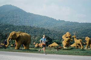 BIB: 
                            <button type="button" onclick="openModal(25871333)" class="btn btn-primary btn-sm float-right btn-popup" data-toggle="modal" data-target=".modal-high-quality">
                        <i class="fas fa-shopping-cart"></i> Add to Cart
                    </button>
                                            <button type="button" onclick="isThisMe(25871333, true)" class="btn btn-success btn-sm float-right btn-popup btn-isme hidden" data-toggle="tooltip" data-placement="bottom" title="นี่คือรูปของคุณใช่ไหม คลิกที่นี่เพื่อเอาเข้าอัลบั้ม">
                        <i class="fas fa-plus"></i> Add to album
                    </button>
                    <button type="button" onclick="isThisMe(25871333, false)" class="btn btn-warning btn-sm float-right btn-popup btn-isnotme hidden">
                        <i class="fas fa-ban"></i> Remove from album
                    </button>