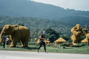 BIB: 
                            <button type="button" onclick="openModal(25959079)" class="btn btn-primary btn-sm float-right btn-popup" data-toggle="modal" data-target=".modal-high-quality">
                        <i class="fas fa-shopping-cart"></i> Add to Cart
                    </button>
                                            <button type="button" onclick="isThisMe(25959079, true)" class="btn btn-success btn-sm float-right btn-popup btn-isme hidden" data-toggle="tooltip" data-placement="bottom" title="นี่คือรูปของคุณใช่ไหม คลิกที่นี่เพื่อเอาเข้าอัลบั้ม">
                        <i class="fas fa-plus"></i> Add to album
                    </button>
                    <button type="button" onclick="isThisMe(25959079, false)" class="btn btn-warning btn-sm float-right btn-popup btn-isnotme hidden">
                        <i class="fas fa-ban"></i> Remove from album
                    </button>