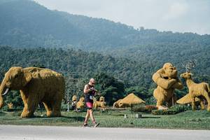 BIB: 
                            <button type="button" onclick="openModal(25888618)" class="btn btn-primary btn-sm float-right btn-popup" data-toggle="modal" data-target=".modal-high-quality">
                        <i class="fas fa-shopping-cart"></i> Add to Cart
                    </button>
                                            <button type="button" onclick="isThisMe(25888618, true)" class="btn btn-success btn-sm float-right btn-popup btn-isme hidden" data-toggle="tooltip" data-placement="bottom" title="นี่คือรูปของคุณใช่ไหม คลิกที่นี่เพื่อเอาเข้าอัลบั้ม">
                        <i class="fas fa-plus"></i> Add to album
                    </button>
                    <button type="button" onclick="isThisMe(25888618, false)" class="btn btn-warning btn-sm float-right btn-popup btn-isnotme hidden">
                        <i class="fas fa-ban"></i> Remove from album
                    </button>