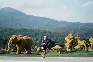 BIB: 
                            <button type="button" onclick="openModal(25872133)" class="btn btn-primary btn-sm float-right btn-popup" data-toggle="modal" data-target=".modal-high-quality">
                        <i class="fas fa-shopping-cart"></i> Add to Cart
                    </button>
                                            <button type="button" onclick="isThisMe(25872133, true)" class="btn btn-success btn-sm float-right btn-popup btn-isme hidden" data-toggle="tooltip" data-placement="bottom" title="นี่คือรูปของคุณใช่ไหม คลิกที่นี่เพื่อเอาเข้าอัลบั้ม">
                        <i class="fas fa-plus"></i> Add to album
                    </button>
                    <button type="button" onclick="isThisMe(25872133, false)" class="btn btn-warning btn-sm float-right btn-popup btn-isnotme hidden">
                        <i class="fas fa-ban"></i> Remove from album
                    </button>