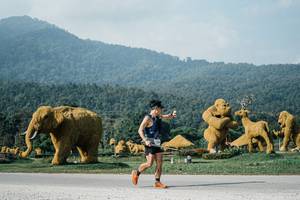 BIB: 
                            <button type="button" onclick="openModal(25872197)" class="btn btn-primary btn-sm float-right btn-popup" data-toggle="modal" data-target=".modal-high-quality">
                        <i class="fas fa-shopping-cart"></i> Add to Cart
                    </button>
                                            <button type="button" onclick="isThisMe(25872197, true)" class="btn btn-success btn-sm float-right btn-popup btn-isme hidden" data-toggle="tooltip" data-placement="bottom" title="นี่คือรูปของคุณใช่ไหม คลิกที่นี่เพื่อเอาเข้าอัลบั้ม">
                        <i class="fas fa-plus"></i> Add to album
                    </button>
                    <button type="button" onclick="isThisMe(25872197, false)" class="btn btn-warning btn-sm float-right btn-popup btn-isnotme hidden">
                        <i class="fas fa-ban"></i> Remove from album
                    </button>